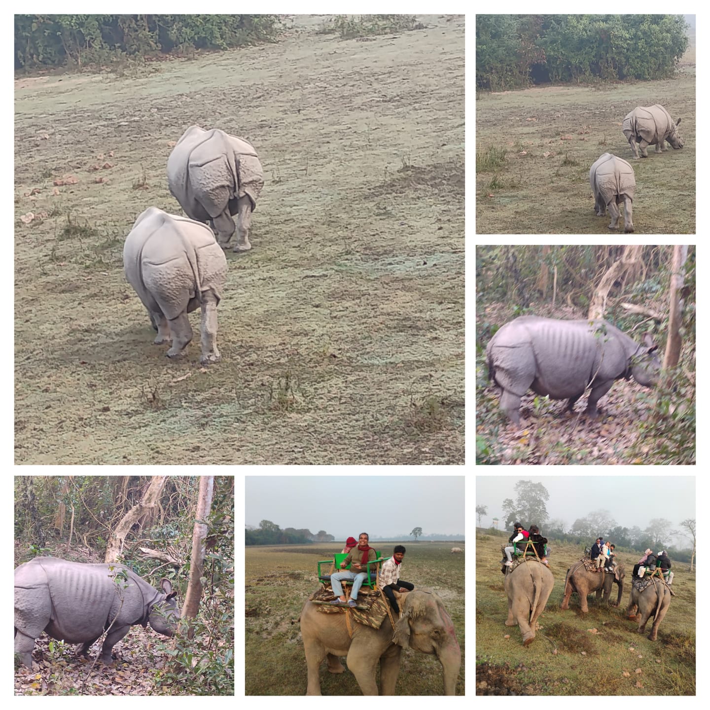 GUIDED ASSAM & MEGHALAYA TOUR photo 3