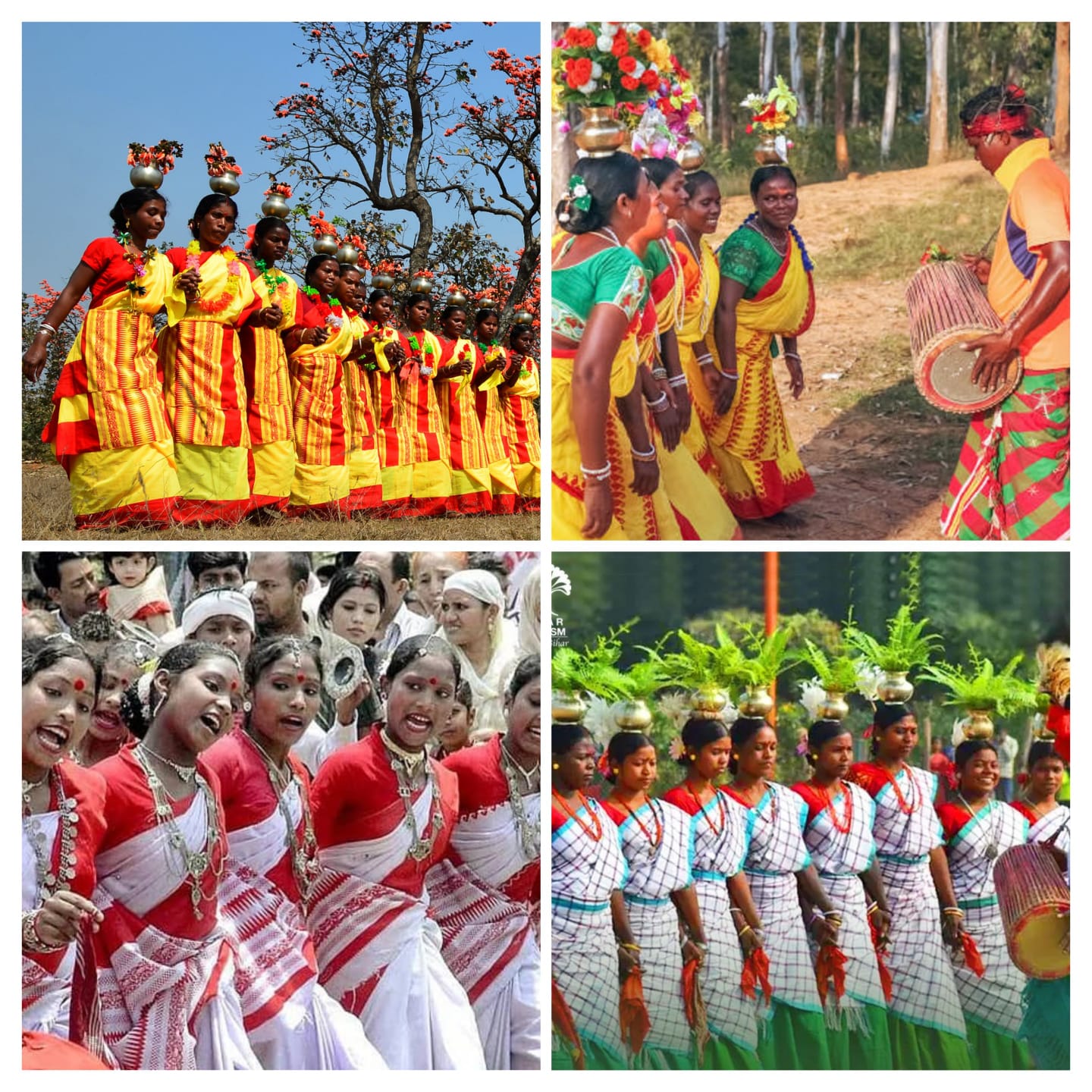 GUIDED BIHAR TRIBAL AND CULTURAL TOUR