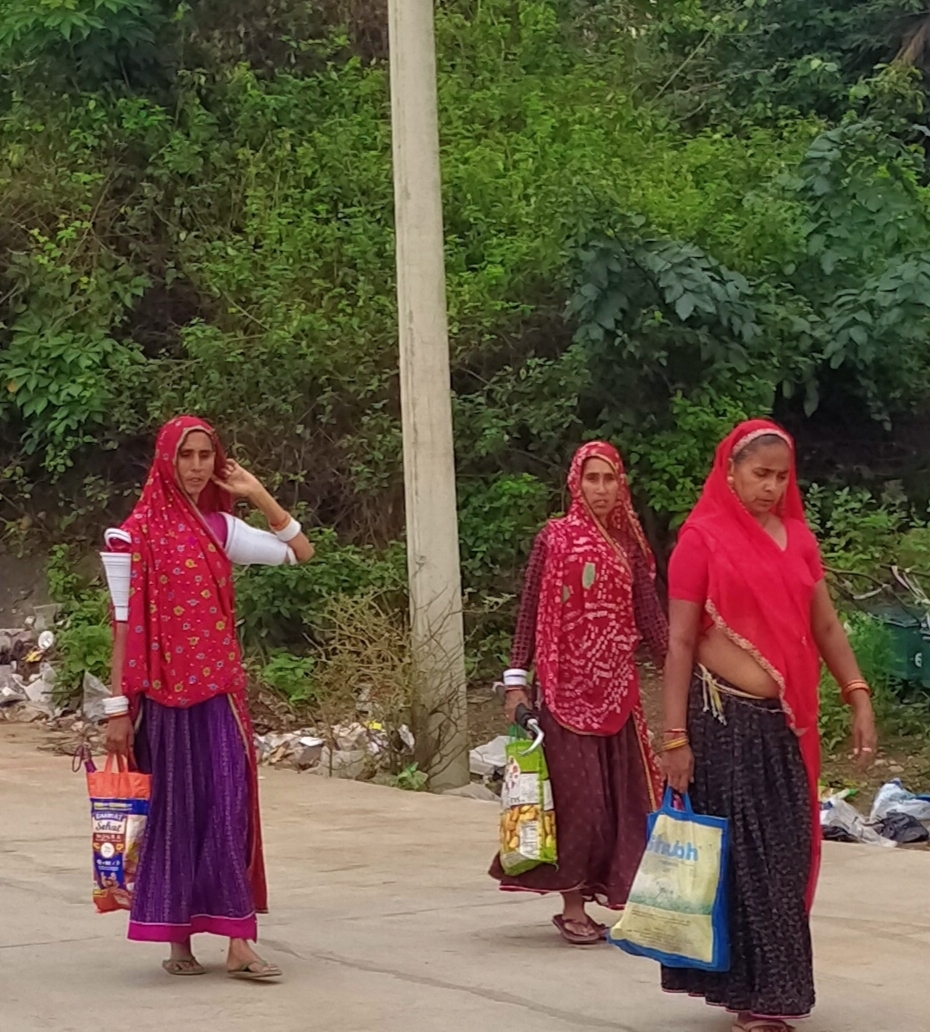 GUIDED CENTRAL INDIA TRIBAL TOUR