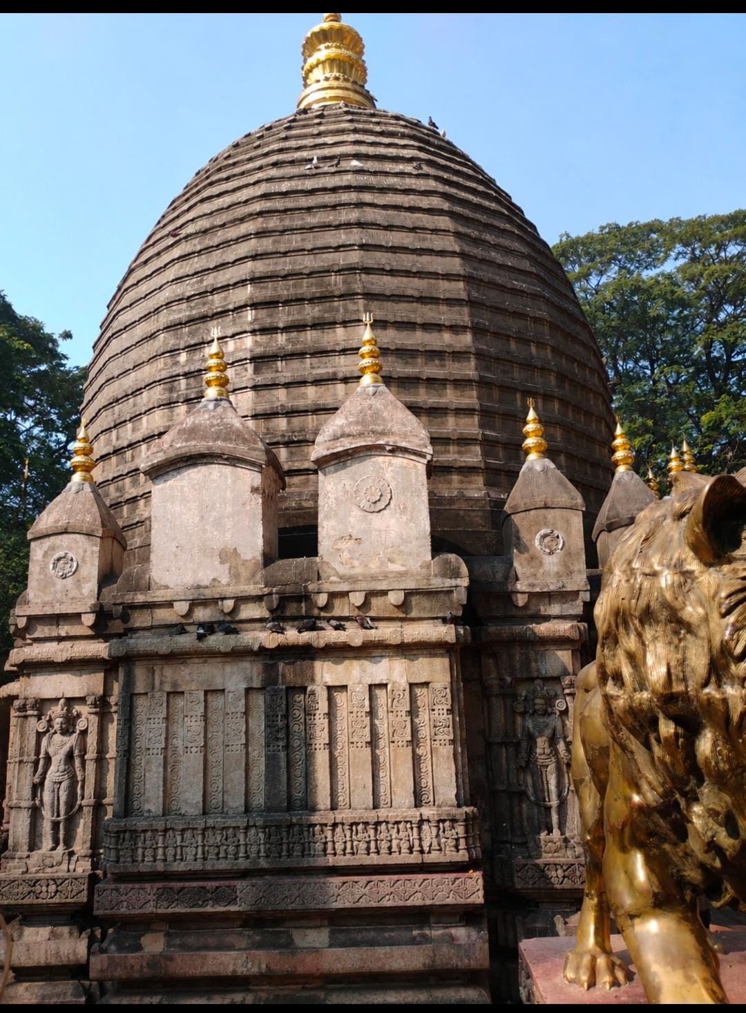 GUIDED NORTHEAST INDIA TRIBAL TOUR photo 3