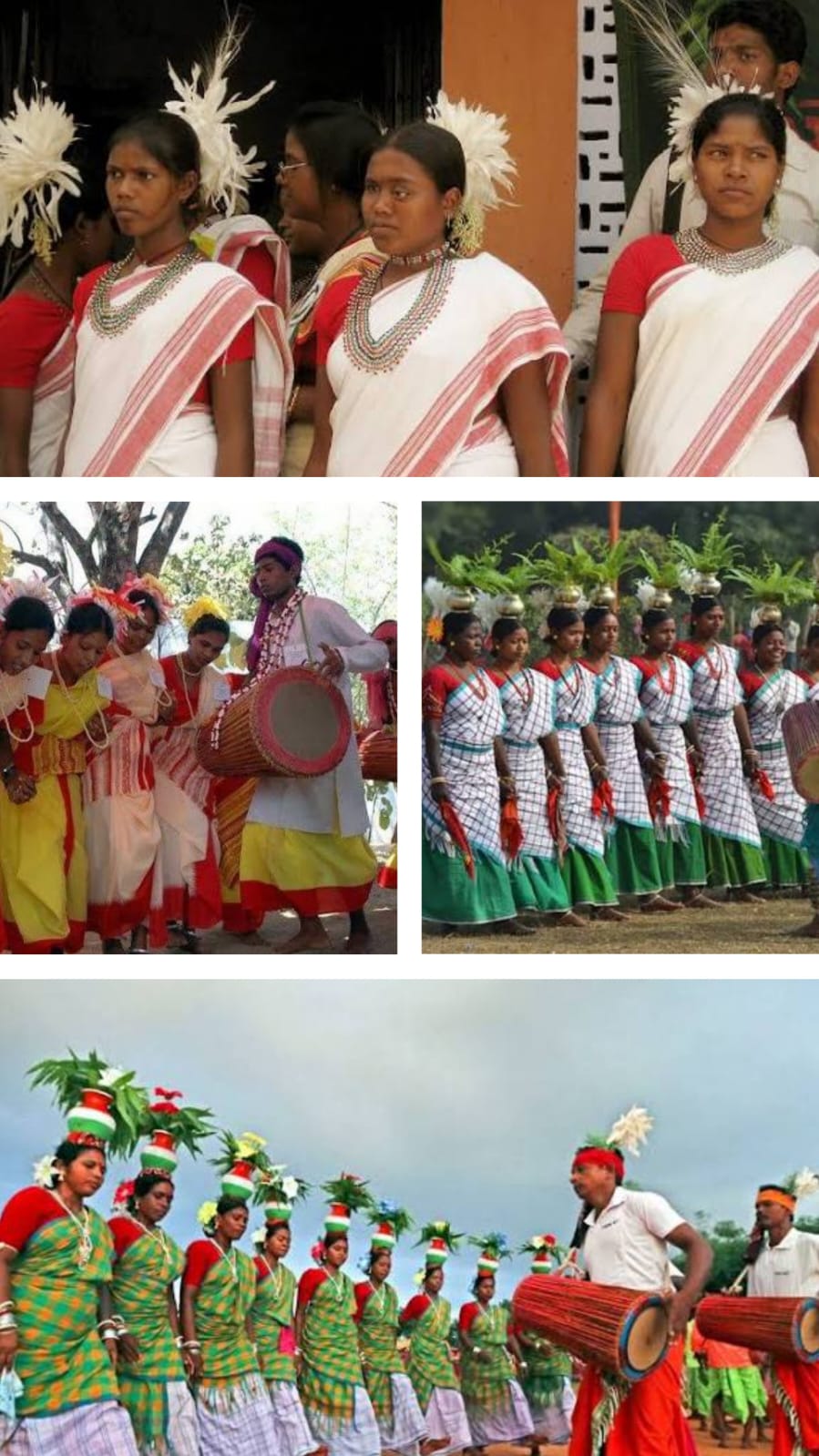 GUIDED ODISHA & JHARKHAND TRIBAL TOUR photo 3
