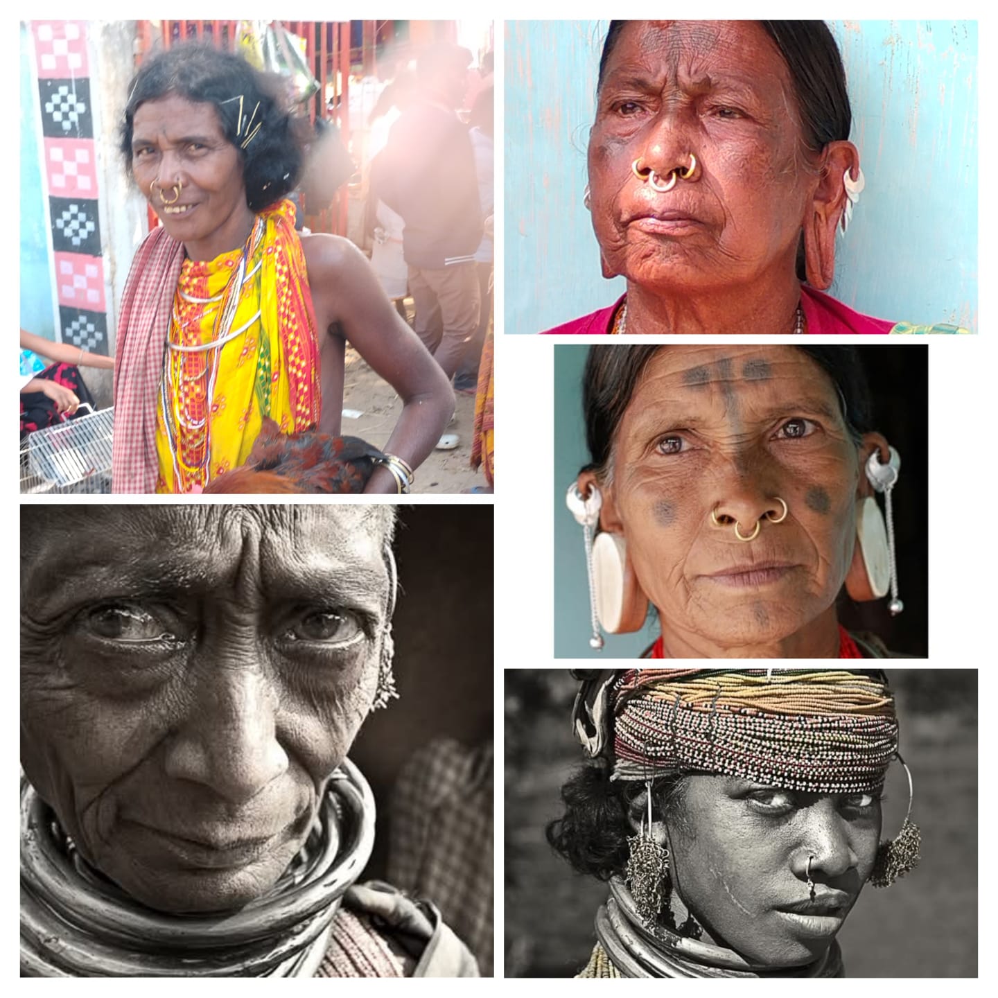 GUIDED ODISHA TRIBAL TOUR photo 3