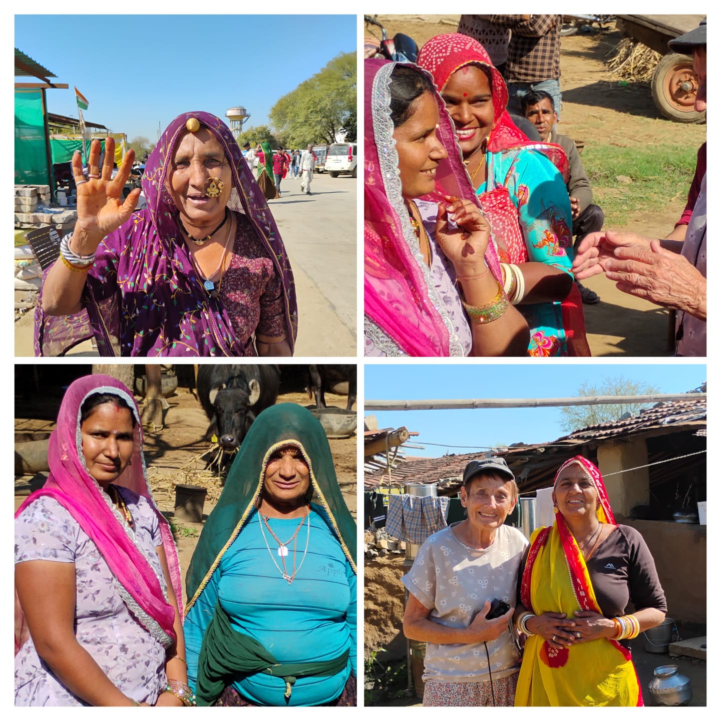 GUIDED RAJASTHAN CULTURAL TOUR photo 4